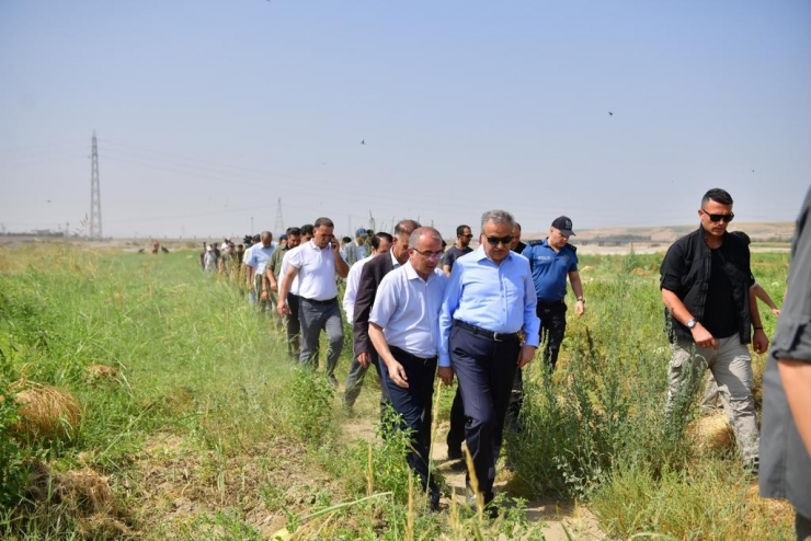 Diyarbakır’da 30 Bin Dekarda 121 Ton Karpuz Hasadı