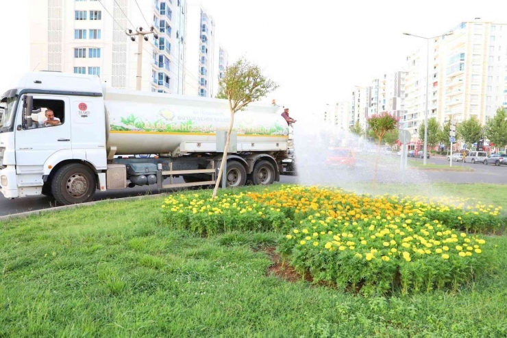 Diyarbakır’da Yeşil Alanları Sıcaklardan Koruma Çalışmaları Sürüyor