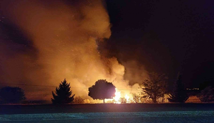 Sazlık Alanda Çıkan Yangın Paniğe Neden Oldu