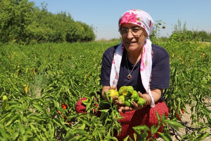 Kadın Muhtarlardan Üretim Yapan Kadınlara Destek