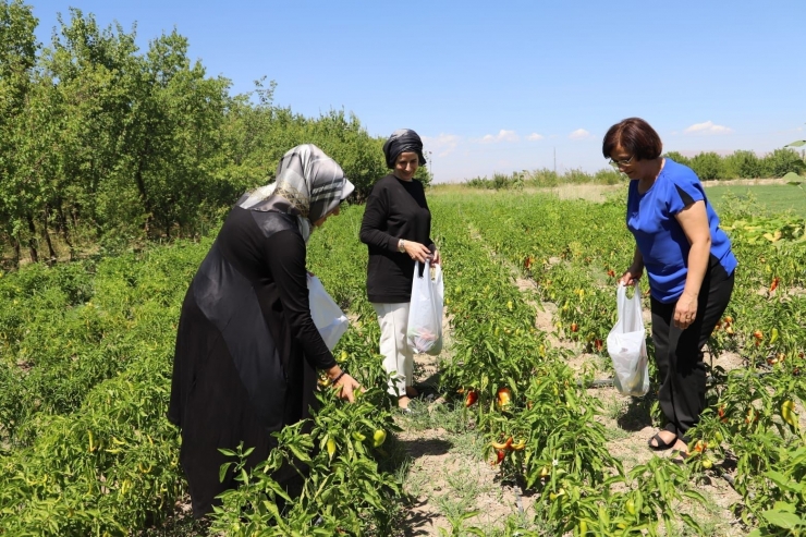 Kadın Muhtarlardan Üretim Yapan Kadınlara Destek