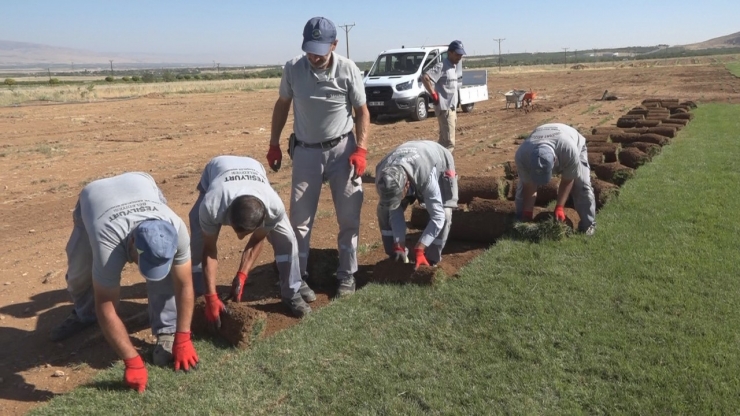 Yeşilyurt Belediyesi, Rulo Çim Üretiminde Hedefleri Aştı