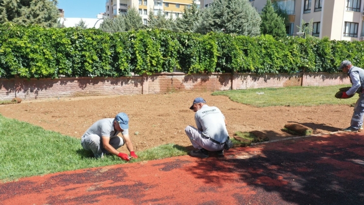 Yeşilyurt Belediyesi, Rulo Çim Üretiminde Hedefleri Aştı