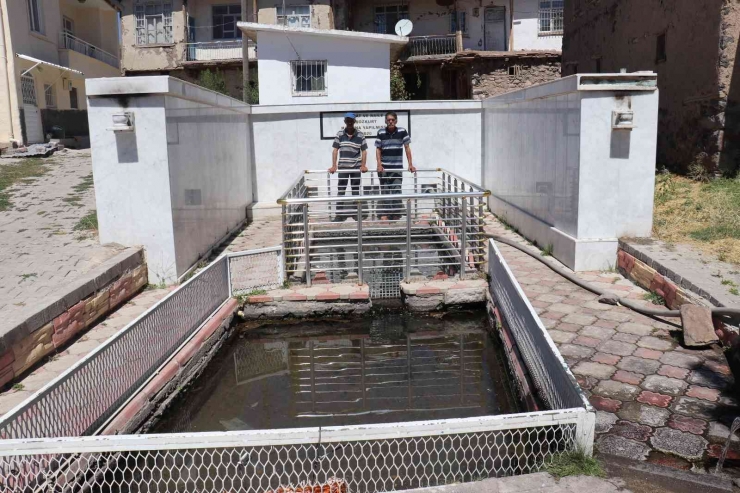 Bu Balıkların Gizemi Çözülemiyor