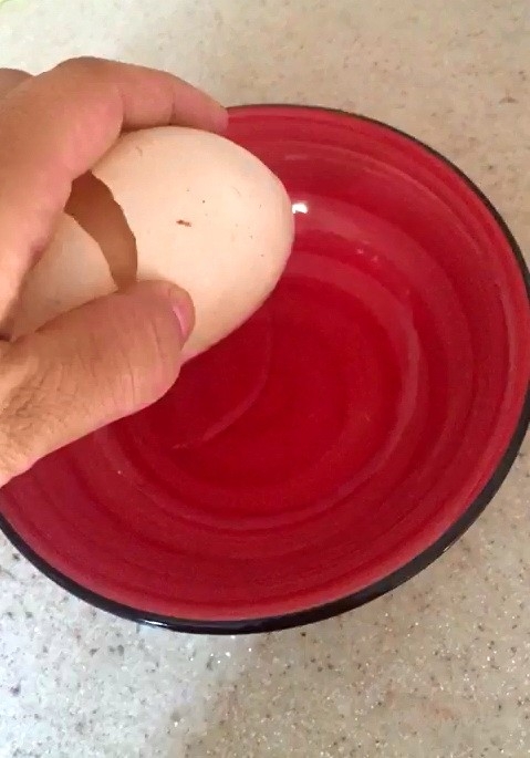 Yumurta İçinden Yumurta Çıktı