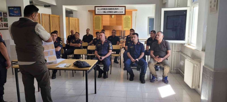 Dkmp Ve Jandarma Yaban Hayatı İçin Bir Araya Geldi