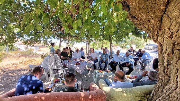 Mhp’li Vekilden Ges Çağrısı
