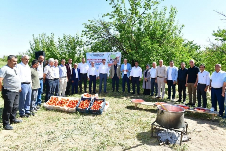 Yeşilyurt’ta Domates Hasat Etkinliği