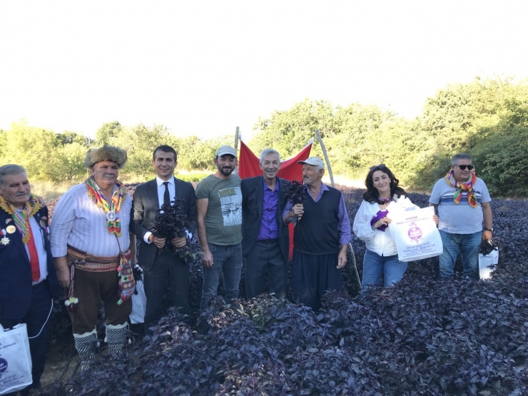 Arapgir’de Festival Dolu Dolu Geçti