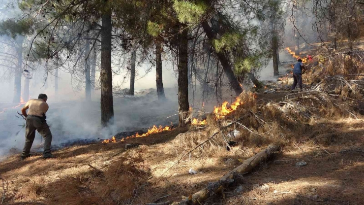 Ormanlık Alanda Çıkan Yangın Söndürüldü