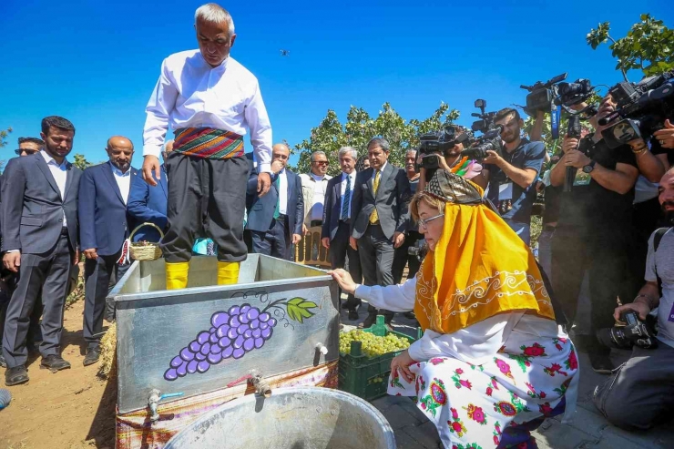 Gastroantep Festivali, Antepfıstığı Hasadı Ve Şire Yapımıyla Başladı