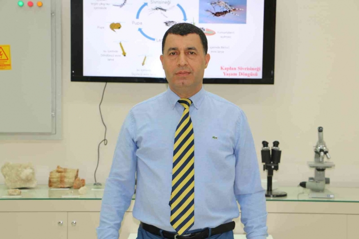 Zooloji Profesöründen Suriye Üzerinden Türkiye’ye ’asya Kaplan Sivrisineği’ Uyarısı