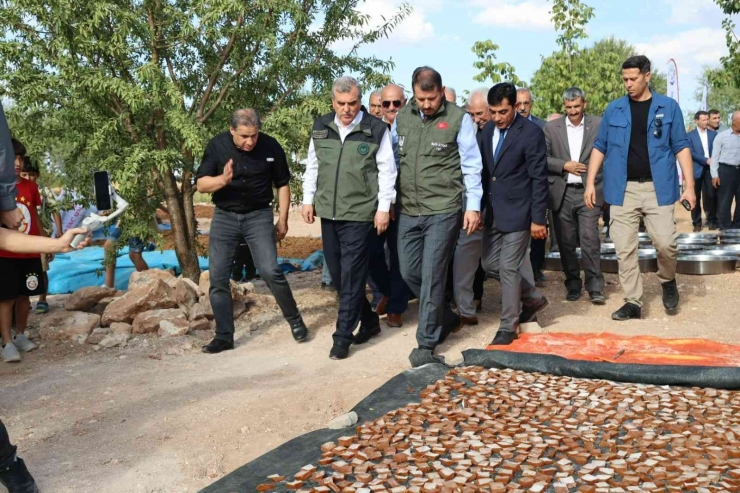 Şanlıurfa’da Bağ Bozumu Festivali