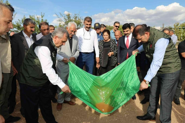 Şanlıurfa’da Bağ Bozumu Festivali