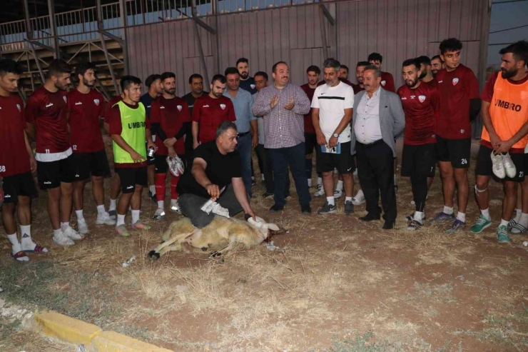 Ekinci Viranşehir Belediyespor’a Moral Verdi