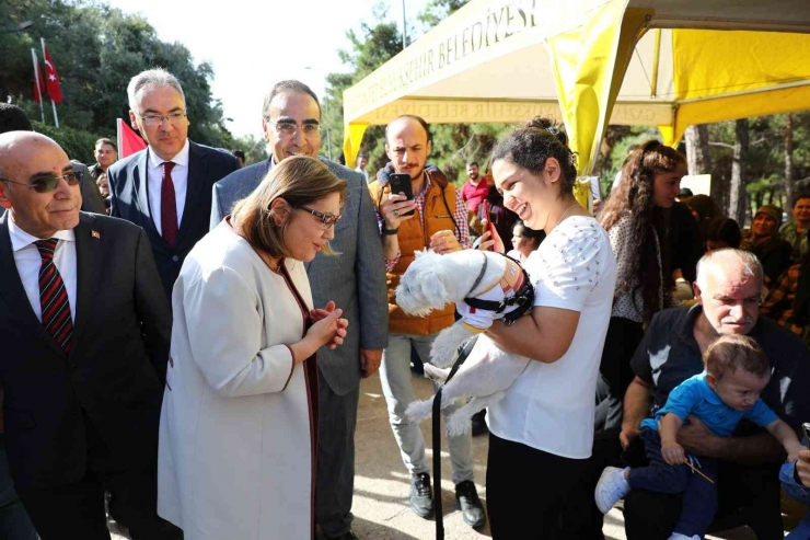 Gaziantep Uygulaması İle Puanını Tamamlayanlara Mama Verildi