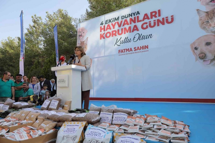 Gaziantep Uygulaması İle Puanını Tamamlayanlara Mama Verildi