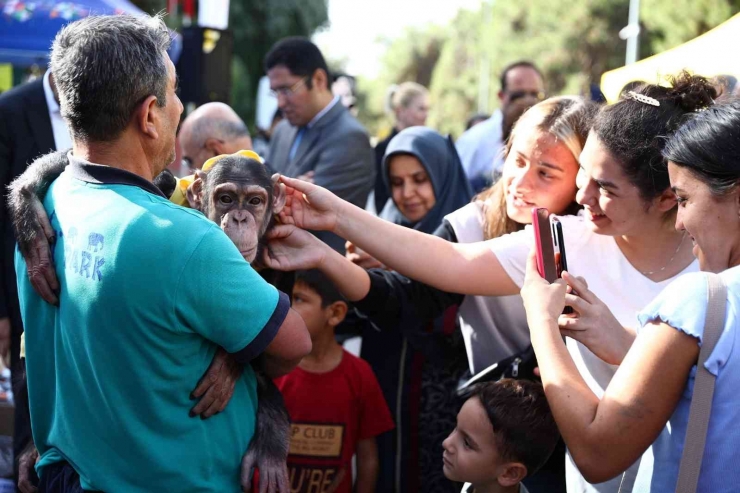 Gaziantep Uygulaması İle Puanını Tamamlayanlara Mama Verildi