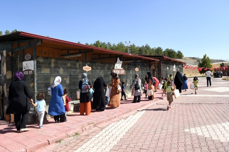 Hayvan Barınağı Misafirlerini Ağırladı