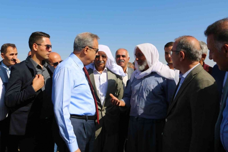 Taşlı Arazilerde Yetişen Tescilli Karacadağ Pirincinin Hasadı Başladı