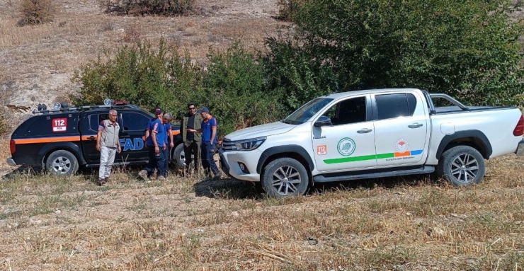 Havuzdan Çıkamayan Porsuğu Ekipler Kurtardı