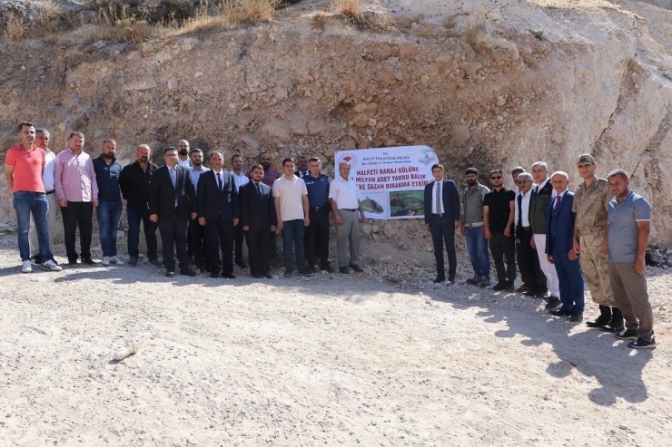 Bir Milyon Yavru Balık Halfeti Barajı’na Bırakıldı