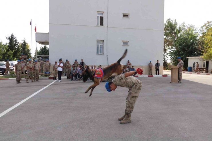 Öğrencilere Jandarmanın Görevleri Anlatıldı