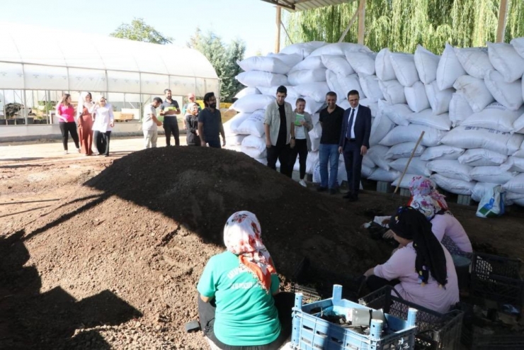 Kaymakam Karaman, 300 Bin Mevsimlik Çiçeğin İlk Tohumunu Attı