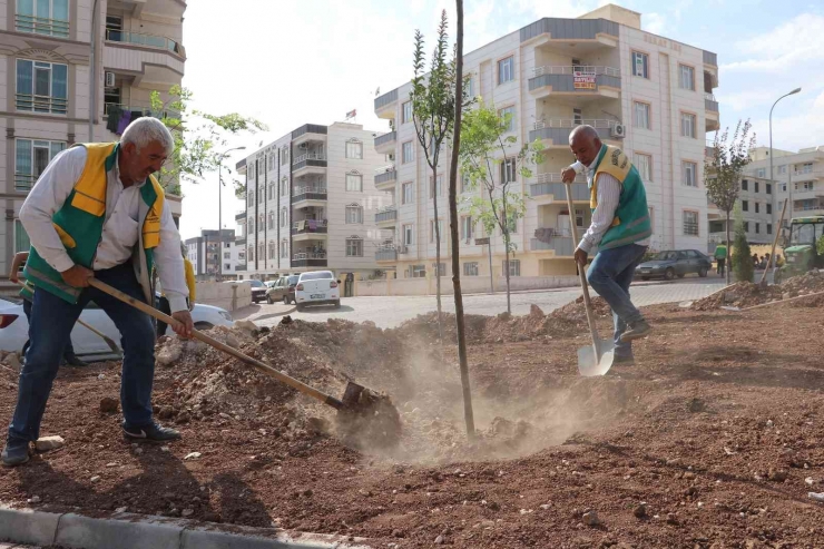 Karaköprü’de Yeni Parklar Ağaçlandırılıyor