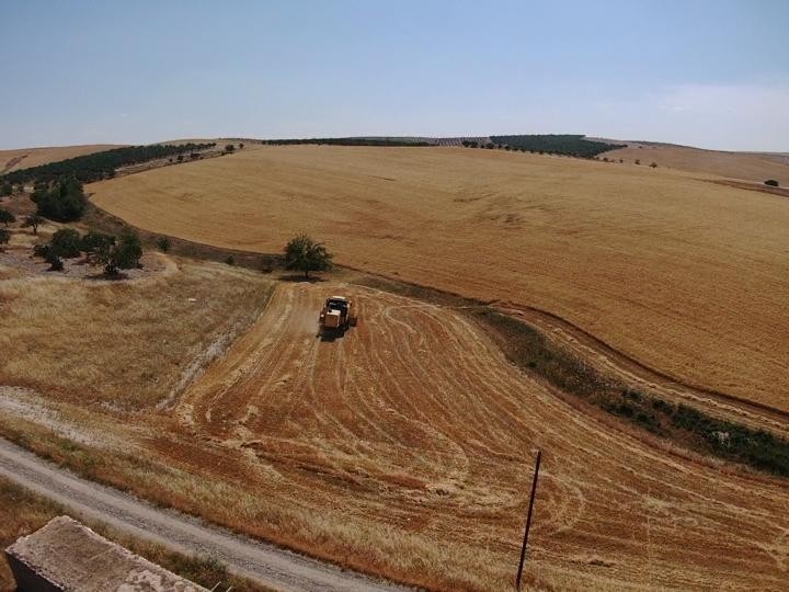 Şanlıurfa’da Benzerine Rastlanmamış Olay: Vatandaş Ekti, Kaymakamlık Biçti