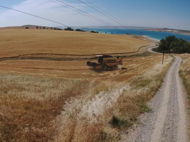 Şanlıurfa’da Benzerine Rastlanmamış Olay: Vatandaş Ekti, Kaymakamlık Biçti