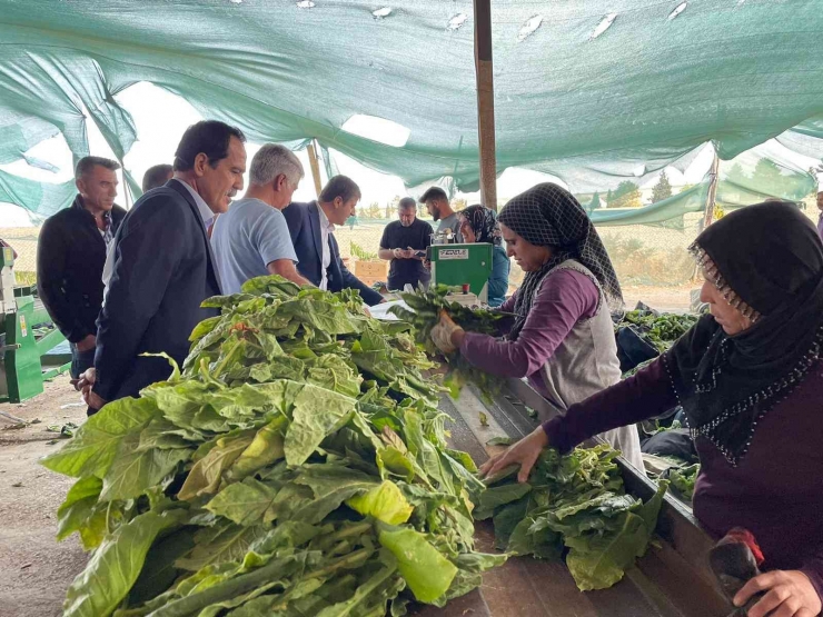 Milletvekili Tutdere, Köylülerin Sorunlarını Dinliyor