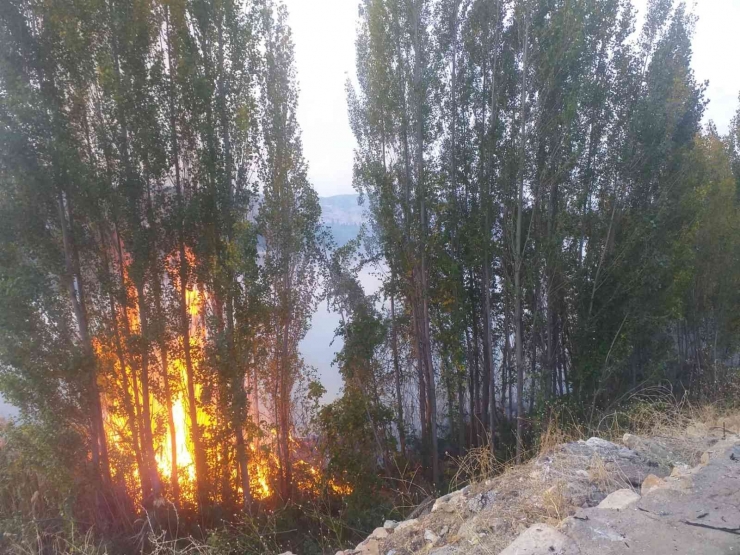 Sazlık Alanda Çıkan Yangın Korkuttu