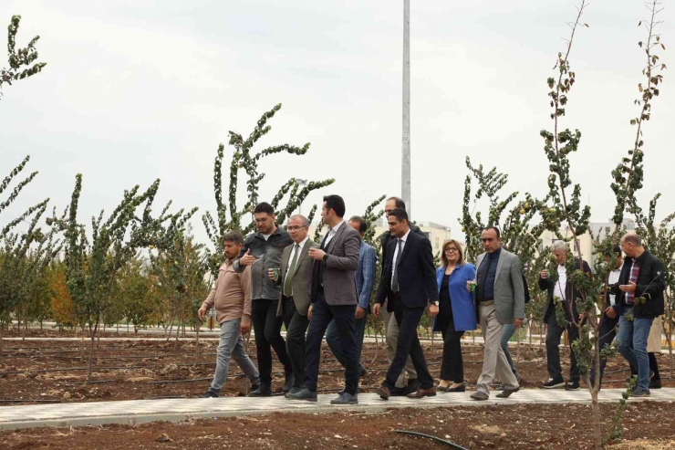 Diyarbakır’da Yılda 800 Bin Ton Süt Elde Eden Üreticiye Süt Sağım Makinesi Dağıtıldı