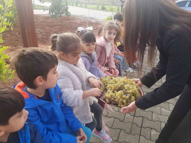 Diyarbakır’da Bağevi Çocukların İlgi Odağı Oldu