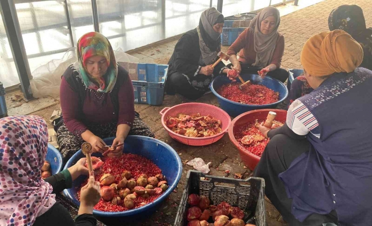 Şanlıurfa’da Nar Ekşisi Mesaisi Başladı