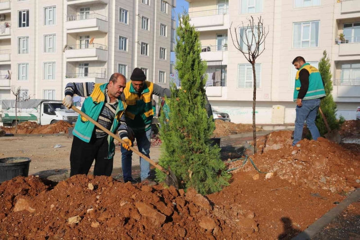 Parklarda Kışa Hazırlık Çalışmaları Yapılıyor