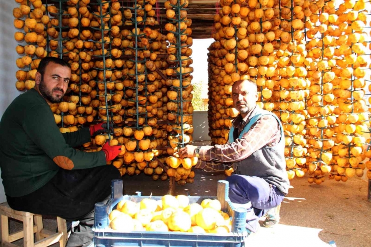 İplere Dizilen Altın Sarısı Hurmaların "kuruyemiş" Yolculuğu Başladı