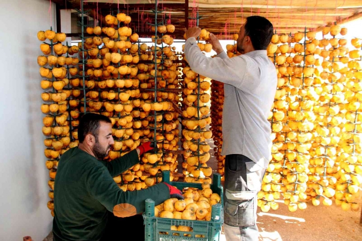 İplere Dizilen Altın Sarısı Hurmaların "kuruyemiş" Yolculuğu Başladı