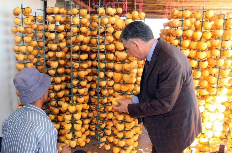 İplere Dizilen Altın Sarısı Hurmaların "kuruyemiş" Yolculuğu Başladı