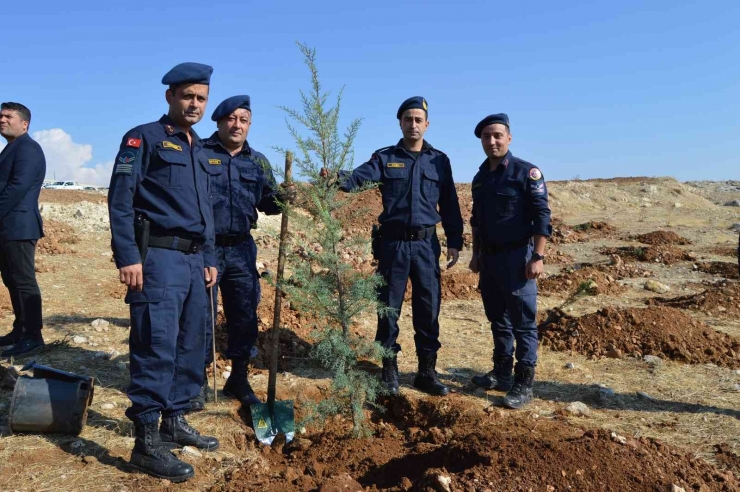 Yeşil Bir Besni İçin Fidanlar Toprakla Buluşturuldu