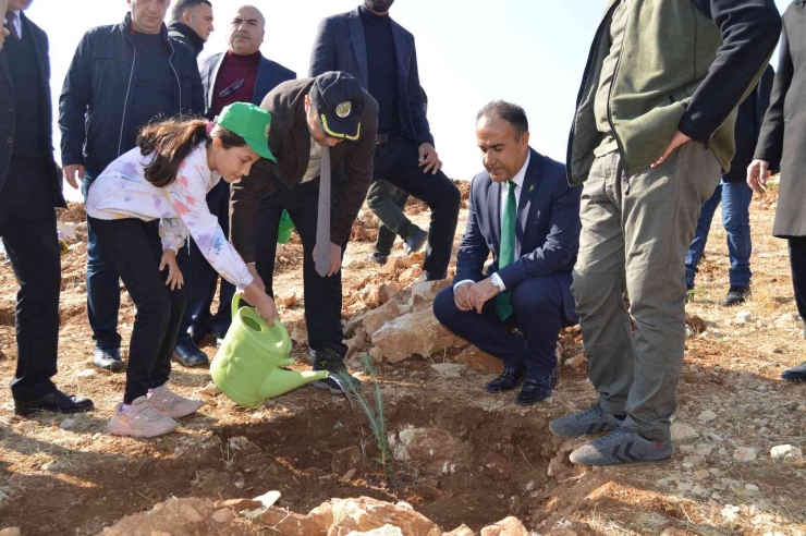 Yeşil Bir Besni İçin Fidanlar Toprakla Buluşturuldu