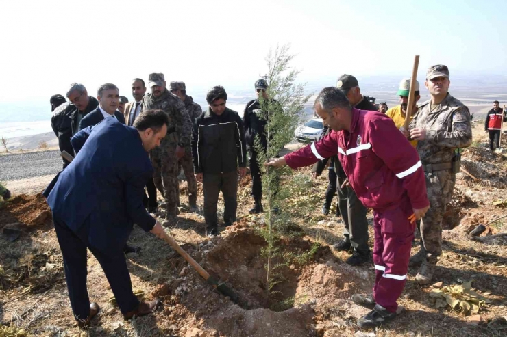 Adıyaman’da, Fidanlar Toprakla Buluşturuldu