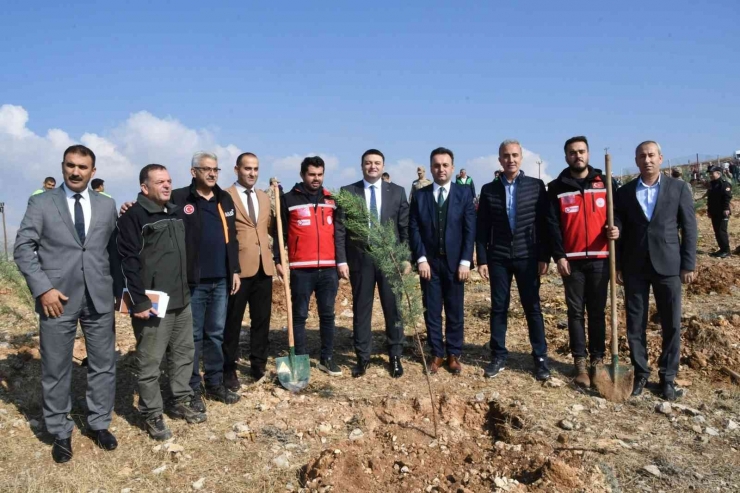 Adıyaman’da, Fidanlar Toprakla Buluşturuldu