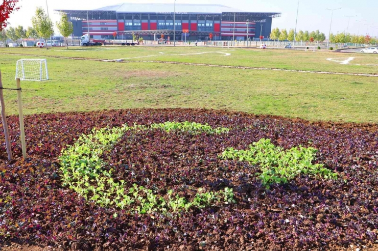 Diyarbakır’da Milli Maç Öncesi Çevre Düzenleme Çalışmaları Tamamlandı