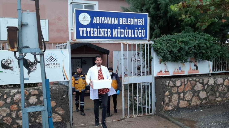 Adıyaman’daki Kuduz Vakasının Ardından Sokak Hayvanlarına Aşılama Başladı