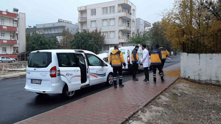 Adıyaman’daki Kuduz Vakasının Ardından Sokak Hayvanlarına Aşılama Başladı