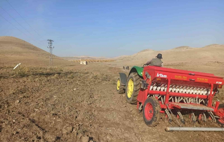 Yerli, Ekmeklik Ve Makarnalık Buğdaylarına Deneme Ekimi Yapıldı