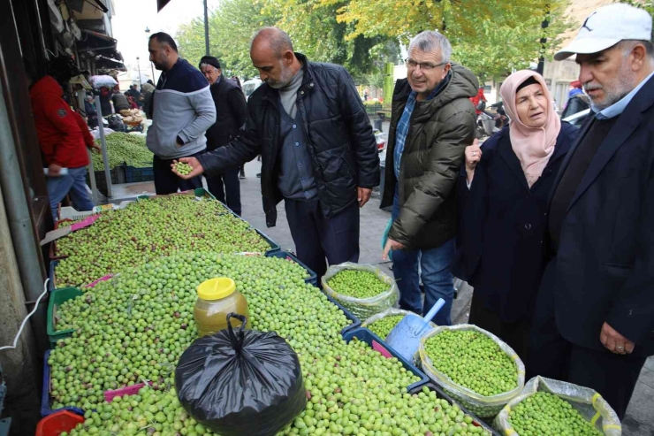 Gaziantep’te Yeşil Zeytin Tezgaha İndi