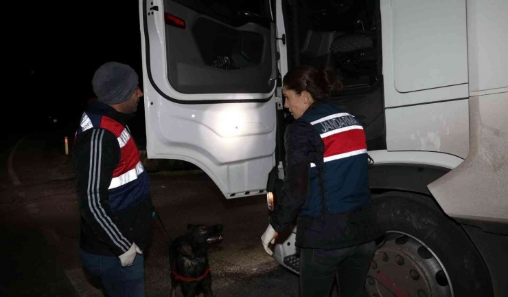 Jandarmadan Yabancı Uyruklu Şahıslara Şok Uygulama